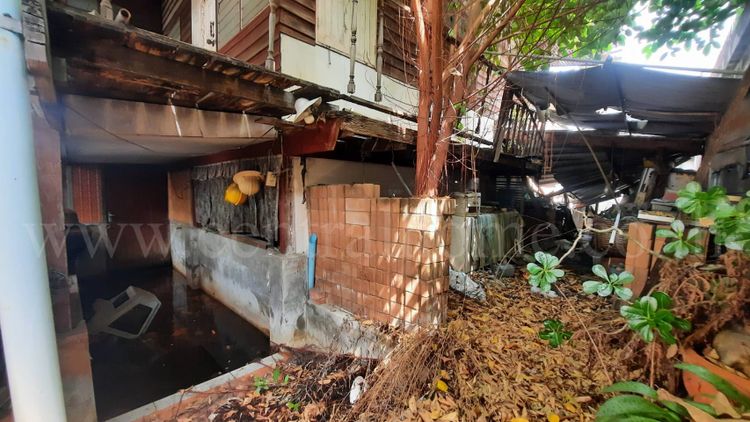 บ้านเดี่ยว ซอยแจ้งวัฒนะ - ปากเกร็ด 26 หลังเซ็นทรัลแจ้งวัฒนะ, ภาพที่ 4