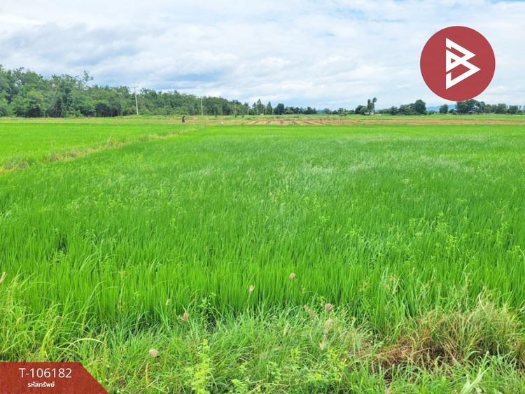 ขายที่ดินเปล่า เนื้อที่ 21 ไร่ 1 งาน 59.3 ตร.วา สวรรคโลก สุโขทัย, ภาพที่ 4