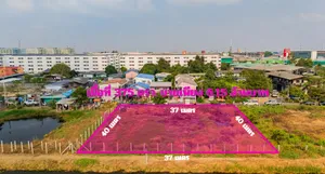 ขายที่ดิน  375 ตรว. บางปูใหม่ สมุทรปราการ พื้นที่สีม่วง