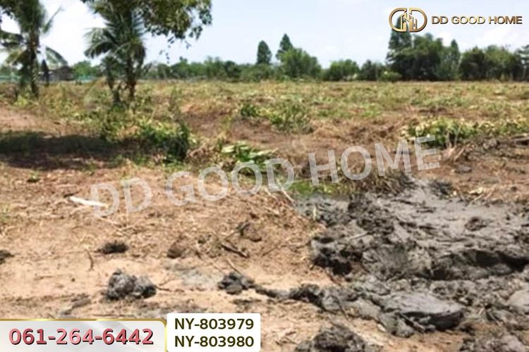 NY-803979 ที่ดินบ้านใหม่ 9 ไร่ 381 ตร.ว. ฉะเชิงเทรา ใกล้วัดป่าอนันตชัย, ภาพที่ 4