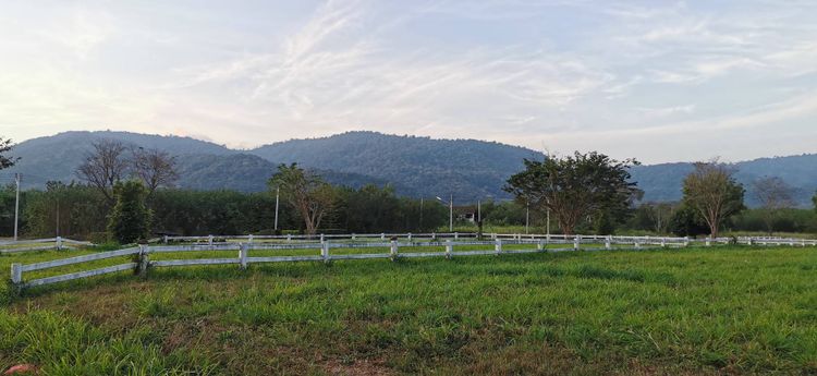 ขาย ที่ดิน ตำบลหมูสี อำเภอปากช่อง จังหวัดนครราชสีมา, ภาพที่ 4