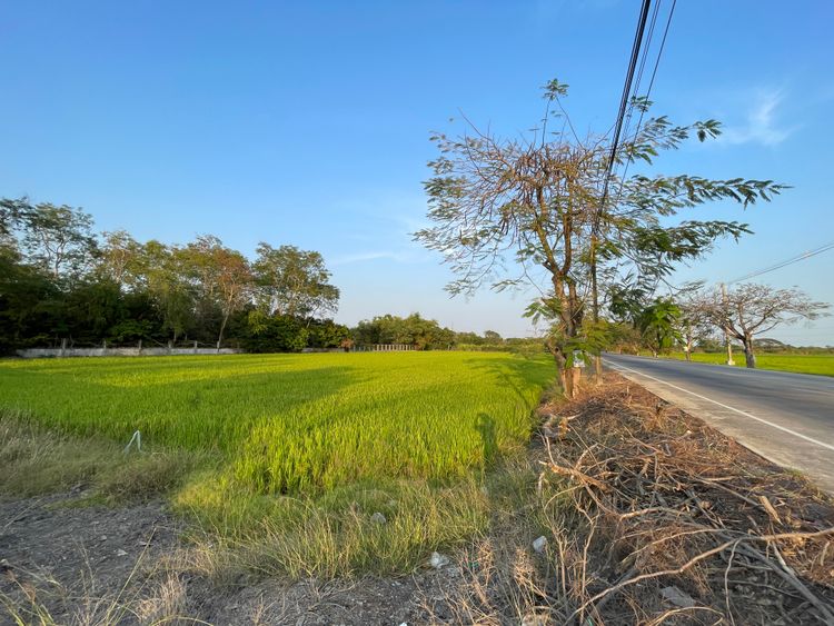 ให้เช่าที่ดิน 5-2-85 ไร่ พร้อมโกดัง 800 ตรม. ติดถนน 4003 ลำลูกกา คลอง  , ภาพที่ 4
