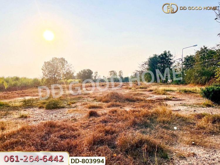 ที่ดินหนองหญ้าไซ 200 ตร.ว. สุพรรณบุรี ใกล้วัดหนองกรับ, ภาพที่ 4