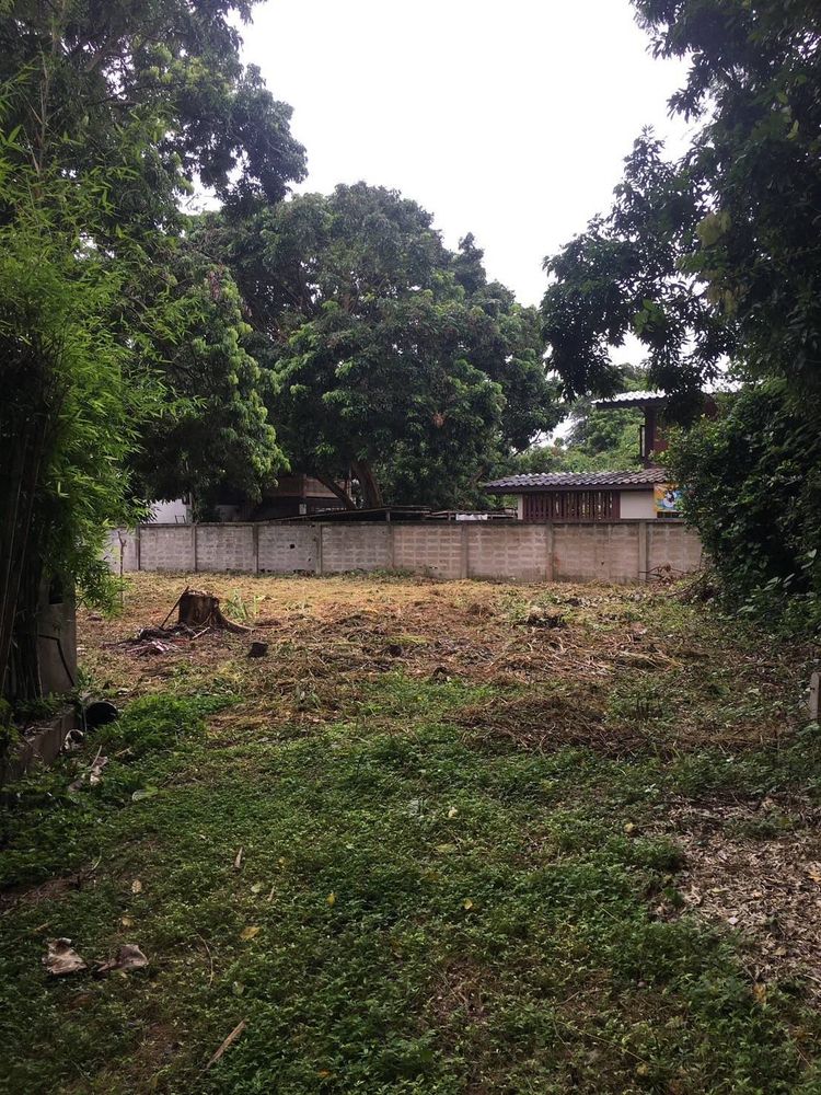 Ph0392 ขายที่ดินเปล่า น้ำไม่ท่วม บ้านป่าตัน ต.ช้างเผือก 168 ตรว. ขาย, ภาพที่ 4