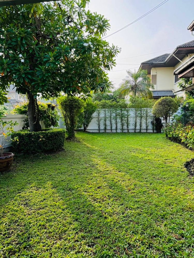 บ้านเดี่ยว หมู่บ้านพัชรวิลล์ เฟอร์ฯบิ๊วอินไม้แท้ สวนรอบบ้านกว้างมาก, ภาพที่ 4