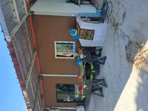 Baan