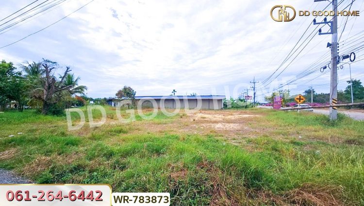 ที่ดินบ้านพริก 1 ไร่ 202.2 ตร.ว. นครนายก ใกล้ อบต. บ้านพริก, ภาพที่ 4