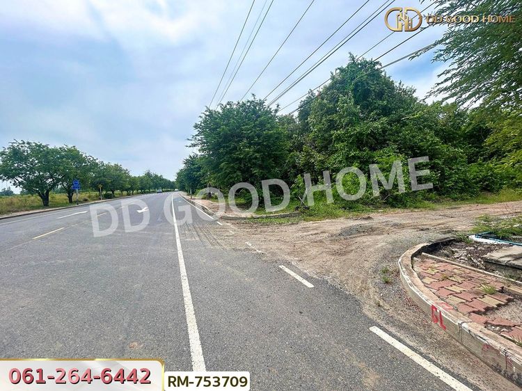 ที่ดินบ้านโพธิ์ 401 ตร.ว. โครงการสนามกอล์ฟบางปะกงริเวอร์ไซด์ ฉะเชิงเทรา, ภาพที่ 4