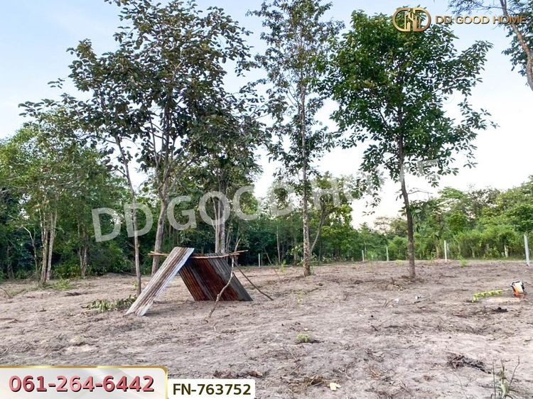 ที่ดินเมืองตาก 5 ไร่ 38.9 ตร.ว. ใกล้ค่ายวชิรปราการ, ภาพที่ 4