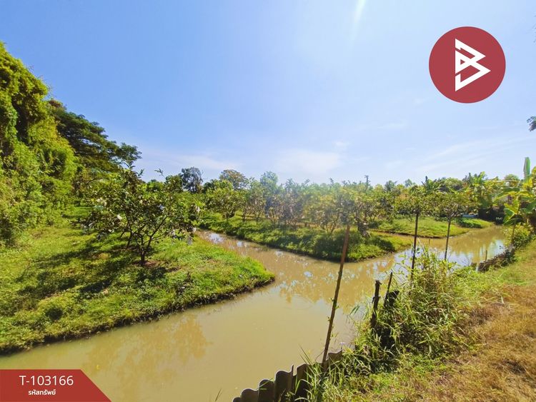 ขายที่ดินเปล่าด่วน เนื้อที่ 2 ไร่ 1 งาน หนองเสือ ปทุมธานี, ภาพที่ 4