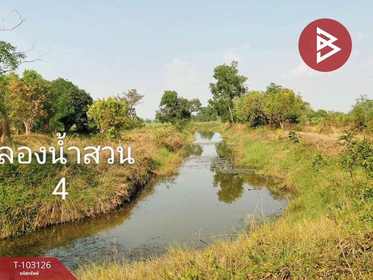 ขายที่ดินเปล่า เนื้อที่ 7 ไร่ 75 ตร.วา เสลภูมิ ร้อยเอ็ด, ภาพที่ 4