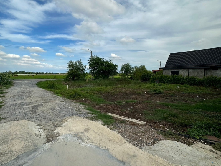 ขาย ที่ดิน แขวงคลองสิบสอง เขตหนองจอก กรุงเทพมหานคร, ภาพที่ 4