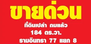 รีบขายด่วนถูกที่สุดในย่านนี้ ที่ดินสวย ทำเลทอง ใกล้รถไฟฟ้าสายสีชมพู รามอินทรา 77 แยก 8 ถูกที่สุด 184 ตร.ว. หน้ากว้าง 21.5  X 35.0 เมตร
