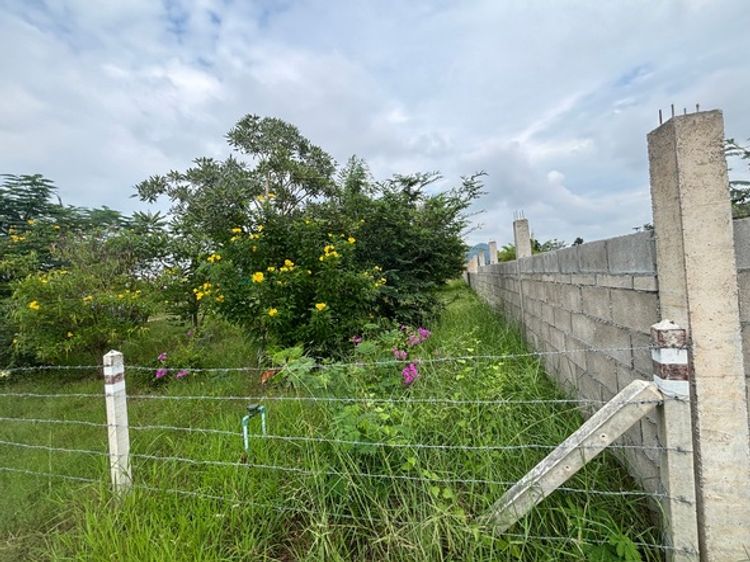 ขายที่ดินถมแล้ว 1 ไร่ ตำบลรางบัว อ.จอมบึง จ.ราชบุรี มีเพื่อนบ้าน, ภาพที่ 4