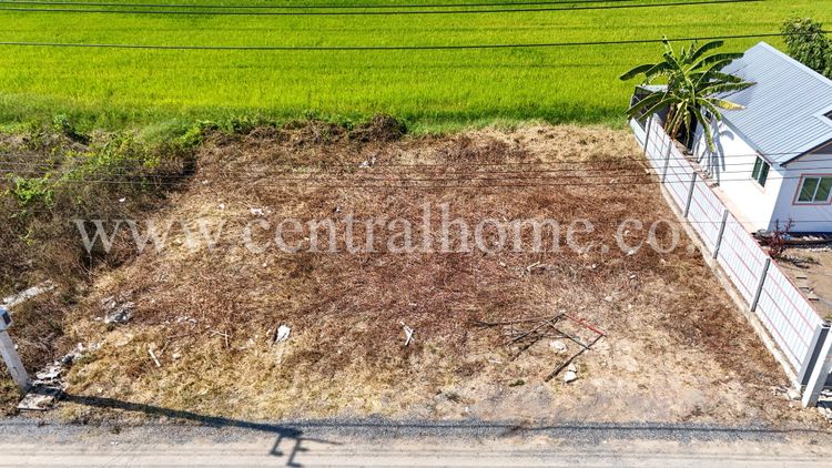 ที่ดินจัดสรร 100 ตร.ว. ซอยสังฆสันติสุข 48 หนองจอก ทำเลดี, ภาพที่ 4