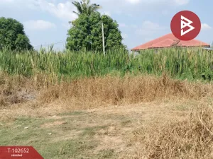 ขายที่ดินเปล่า เนื้อที่ 52 ตร.วา อรัญญิก พิษณุโลก