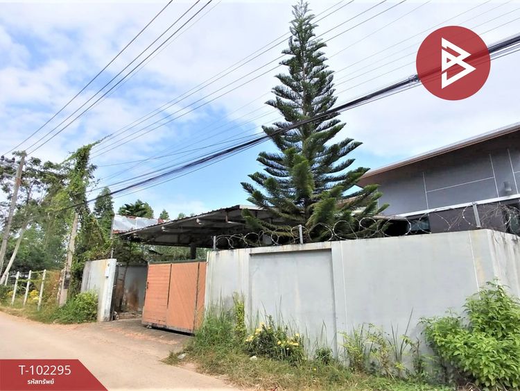 ขายบ้านเดี่ยวชั้นเดียว เนื้อที่ 69.3 ตร.วา ถลาง ภูเก็ต, ภาพที่ 4