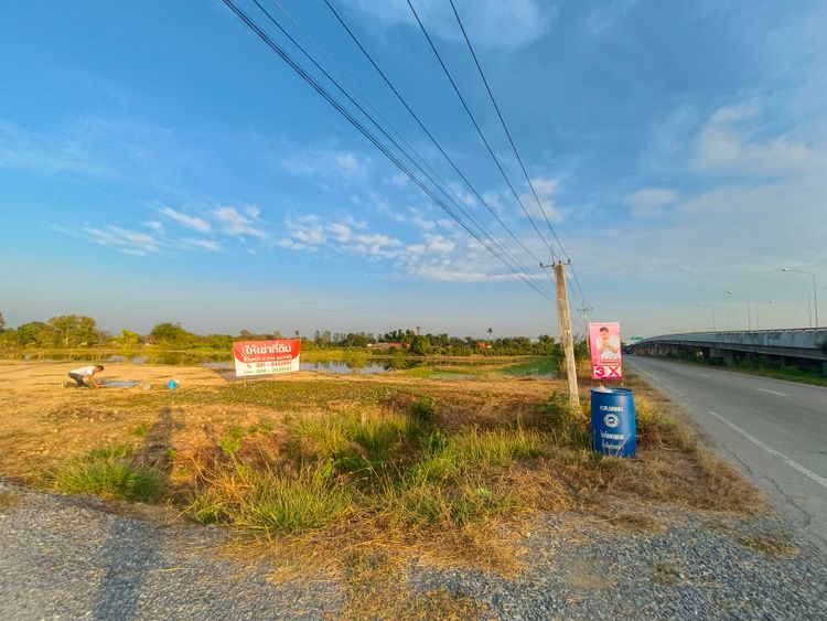 ให้เช่า ที่ดิน ตำบลมดแดง อำเภอศรีประจันต์ จังหวัดสุพรรณบุรี, ภาพที่ 4