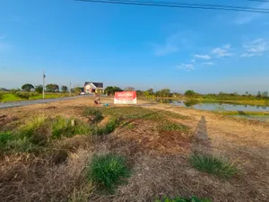 ให้เช่า ที่ดิน ตำบลมดแดง อำเภอศรีประจันต์ จังหวัดสุพรรณบุรี