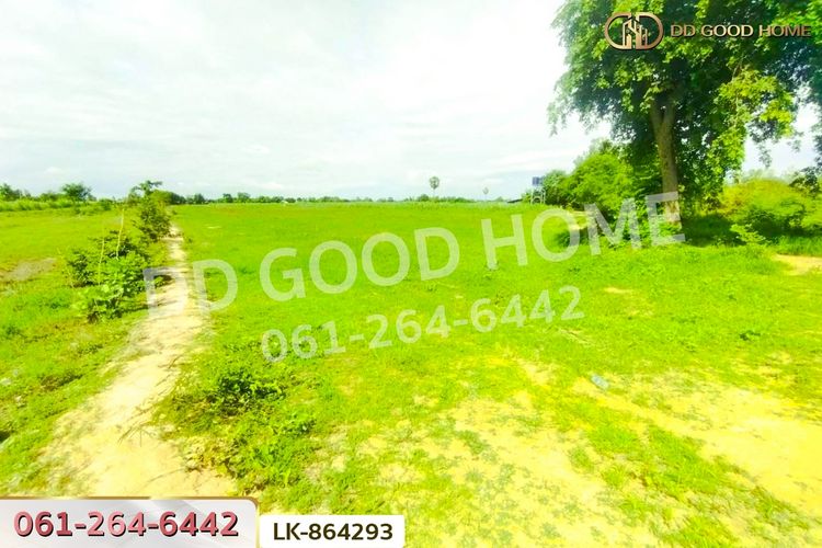 LK-864293 ที่ดินหนองหญ้าไซ 12 ไร่ 204 ตร.ว. สุพรรณบุรี, ภาพที่ 4