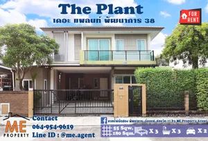𝐅𝐨𝐫 𝐑𝐞𝐧𝐭✨ Single House The Plant Pattanakarn38 Fully furnished Convenient travel, near Sukhumvit โทร 064-954-9619 (RBH13-55)