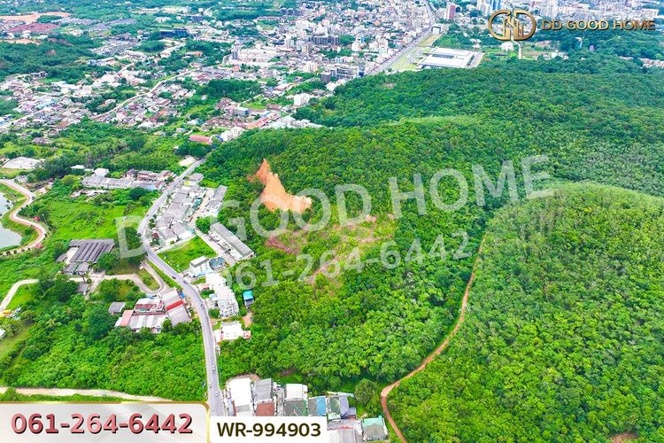 WR-783891 ที่ดินหาดใหญ่ 38 ไร่ 306.2 ตร.ว. สงขลา, ภาพที่ 4
