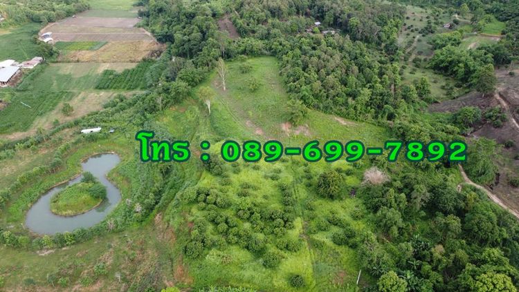 Call : 089-699-7892 ขายที่ดินเปล่าเกือบ 30 ไร่ (รวมพื้นที่งอก) เชียงราย, ภาพที่ 4