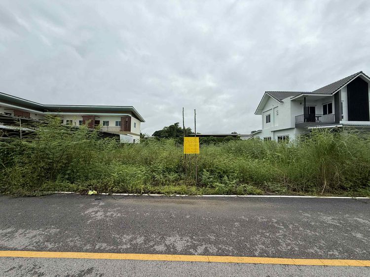 ขาย ที่ดิน ตำบลบ้านดู่ อำเภอเมืองเชียงราย จังหวัดเชียงราย, ภาพที่ 4