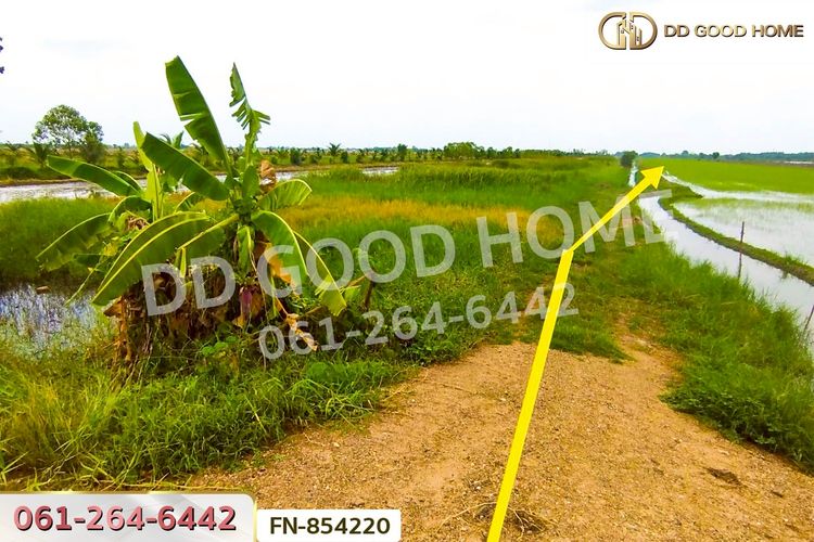 FN-854220 ที่ดินลำลูกกาคลอง 11 ปทุมธานี 4 ไร่ 237.3 ตร.ว., ภาพที่ 4