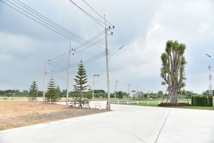 (ขาย) ที่ดินแบ่งขาย สร้างโรงงานในโครงการลำลูกกา คลอง 8 สาธารณูปโภคครบ, ภาพที่ 4