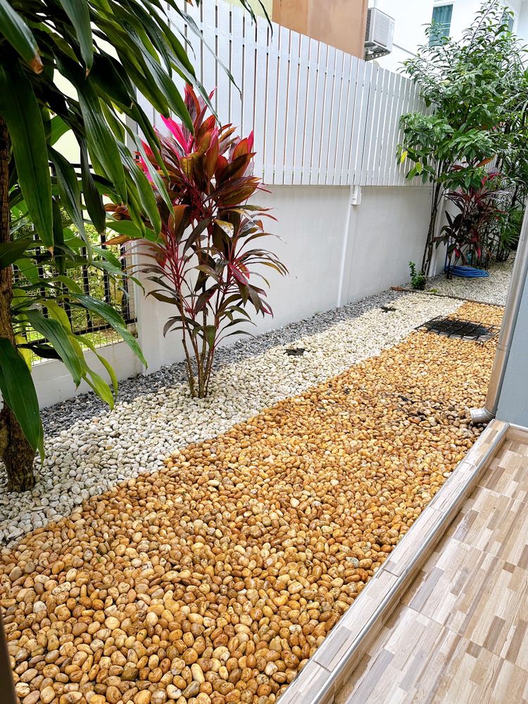 ขายบ้านพร้อมอยู่ โครงการสินธานี11, ภาพที่ 4