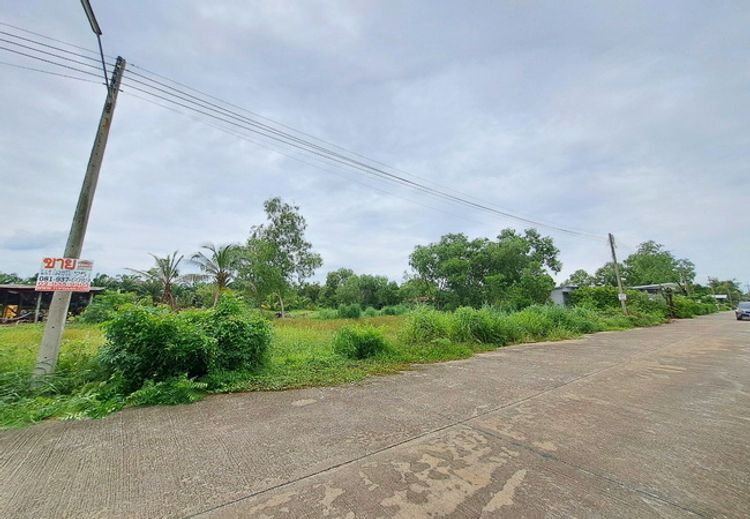 ขายที่ดิน คลอง 13 หมู่บ้านสมหวังการ์เด้น เนื้อที่ 75.70 ตร.ว., ภาพที่ 4