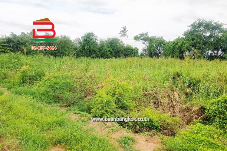 ที่ดินเปล่า ระแหง-ลาดหลุมแก้ว เนื้อที่ 3 ไร่ ติดบจก.ชาญนครวิศวกรรม,, ภาพที่ 4