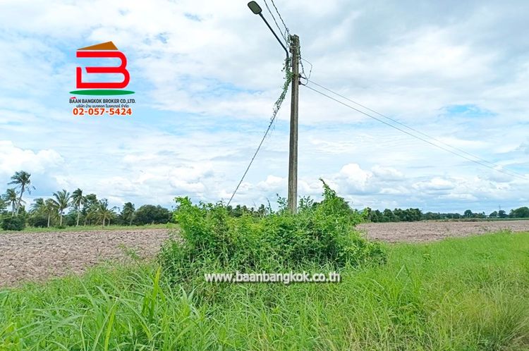 ที่ดินเปล่า ตำบลท่าบุญมี (สี่แยกเกาะโพธิ์) เนื้อที่ 71-0-22 ไร่, ภาพที่ 4