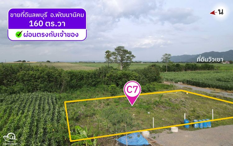 ขาย (สด/ผ่อน) ที่ดินวิวเขา 160 ตารางวา ต.ช่องสาริกา อ.พัฒนานิคม (C7), ภาพที่ 4