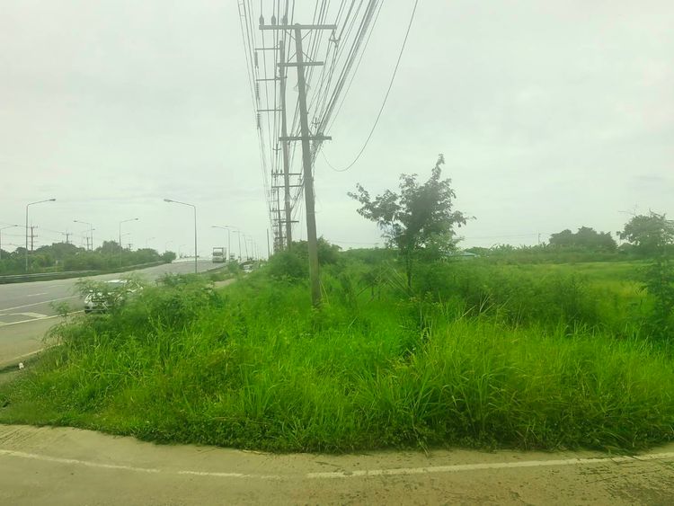 ขายที่ดิน 123 ไร่ แปลงสวยติดถนนใหญ่ ถนนสุวินทวงศ์ อ.บางน้ำเปรี้ยว 304 , ภาพที่ 4