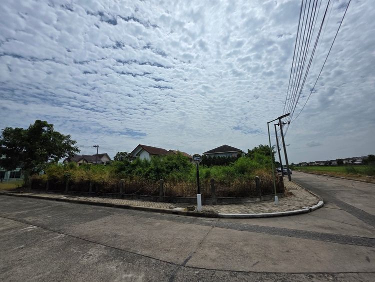 ขายที่ดิน ขายถูก ในซอย คุ้มเกล้า5 ในหมู่บ้าน ศุภาลัยเลค2 แปลงมุม, ภาพที่ 4