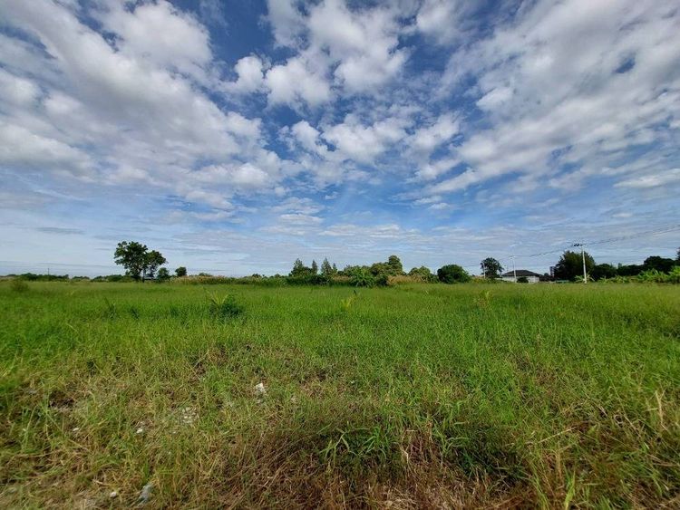 ขายที่ดิน ขายถูก ในซอย สุวินทวงศ์96 ใกล้ถนนใหญ่ 300 เมตร, ภาพที่ 4