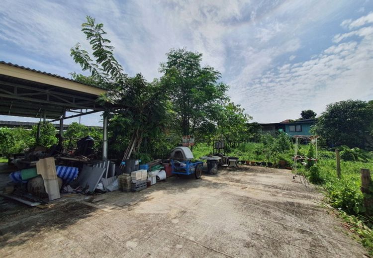 ขายที่ดิน สามโคก ใกล้ม.ธรรมศาสตร์รังสิต เนื้อที่ 162 ตร.ว. แปลงสวย, ภาพที่ 4
