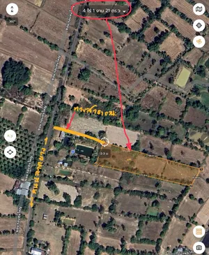 ขาย ที่ดิน ตำบลโพนเมือง อำเภอเหล่าเสือโก้ก จังหวัดอุบลราชธานี