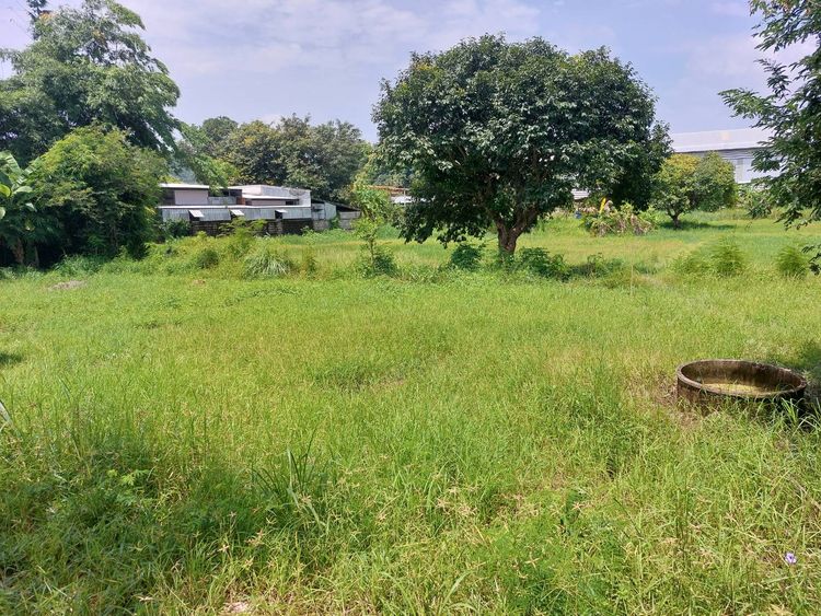 ขาย ที่ดิน ตำบลเวียง อำเภอเทิง จังหวัดเชียงราย, ภาพที่ 4