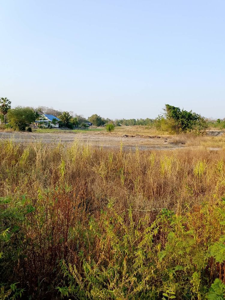 ขายที่ดิน10ไร่ ที่สวย ติดถนน4เลน ใกล้ตัวเมือง , ภาพที่ 4