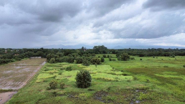 ขาย ที่ดิน บ้านดงละคร เมืองนครนายก, ภาพที่ 4