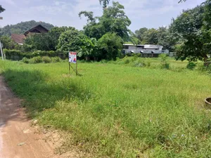 ขาย ที่ดิน ตำบลเวียง อำเภอเทิง จังหวัดเชียงราย