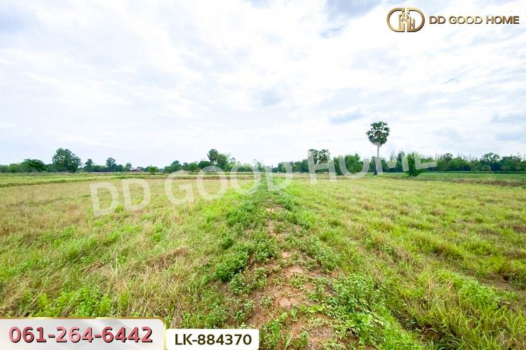 LK-884370 ที่ดินพระยืน 11 ไร่ 61 ตร.ว. ขอนแก่น, ภาพที่ 4