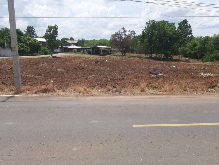 ขายที่ดินโฉนด 2 ไร่ หน้ากว้าง 50 เมตร ยาว 64 เมตรบ้านสำนักหมัน, ภาพที่ 4