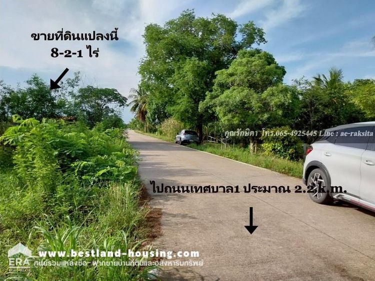 ขายที่ดิน 8-2-1 ไร่ ต.ดอนฉิมพลี อ.บางน้ำเปรี้ยว จ.ฉะเชิงเทรา, ภาพที่ 4