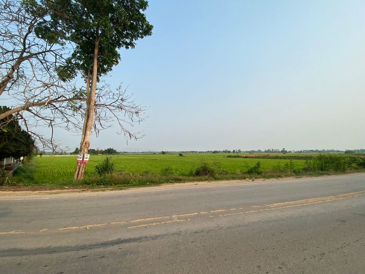 ขายที่ดินสวย 8-1-59ไร่ ติดสามแยก แม่ข้าวต้ม ใกล้ถนนทางหลวง ชร.1063, ภาพที่ 4