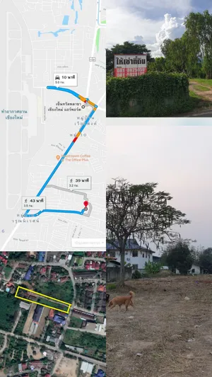 ให้เช่า ที่ดิน ตำบลป่าแดด อำเภอเมืองเชียงใหม่ จังหวัดเชียงใหม่