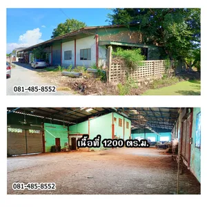 ขายโรงงานโกดัง จ.นครปฐม อ.บางเลน 300 ตร.วา 3.2 ล้านบาท